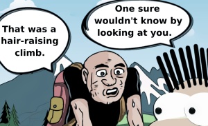 This featured image presents the picture of a young man with spiked hair and an older man with no hair. Upon completing climbing a mountain the old man says, "That was a hair raising climb.", to which the lad with spiked hair looks at the old man and says, "One sure wouldn't know by looking at you."